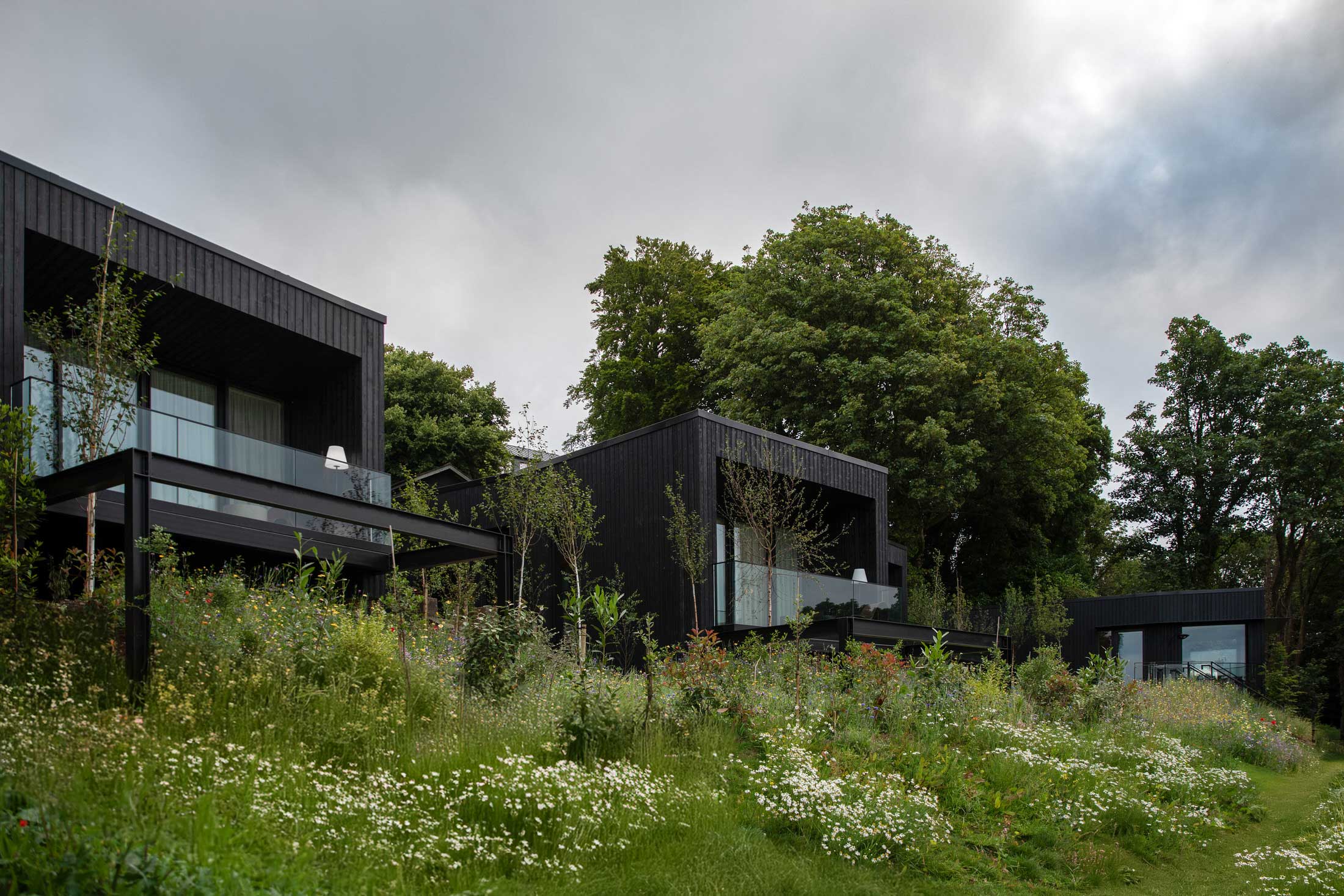 Exterior view of a cantilevered timber suite among mature trees.