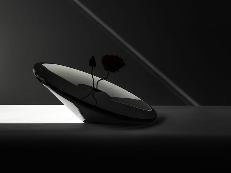 A minimalist glass dish holding two dark flowers on a reflective white surface.
