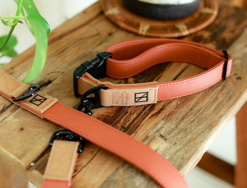 A minimalist Herzog branded leash and terracotta-colored dog collar.