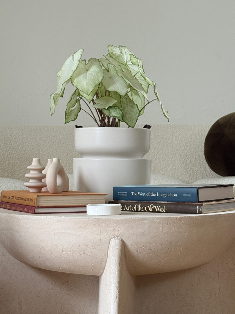A small potted plant on a table next to a white candle and stacked books.