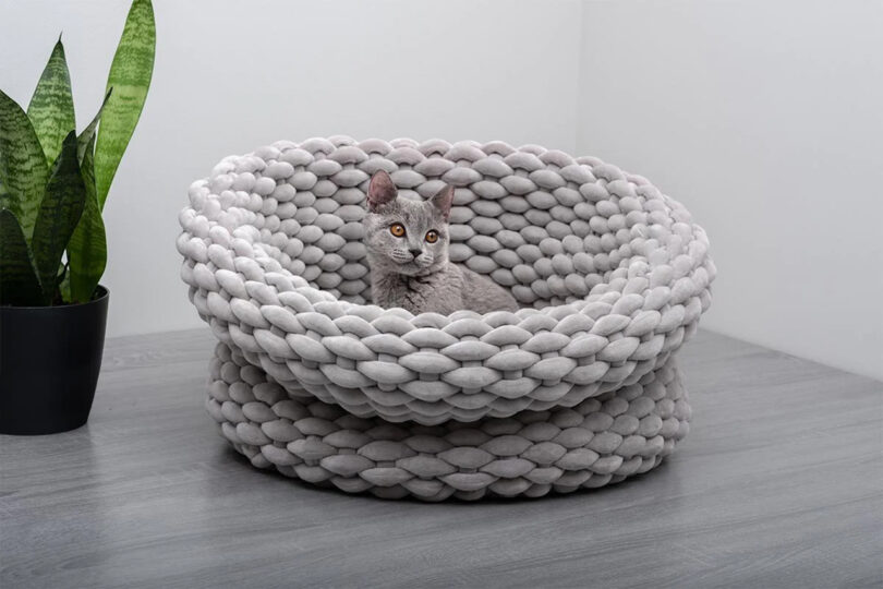 A grey kitten rests inside a large, light grey knitted pet bed with a thick rope-like weave.