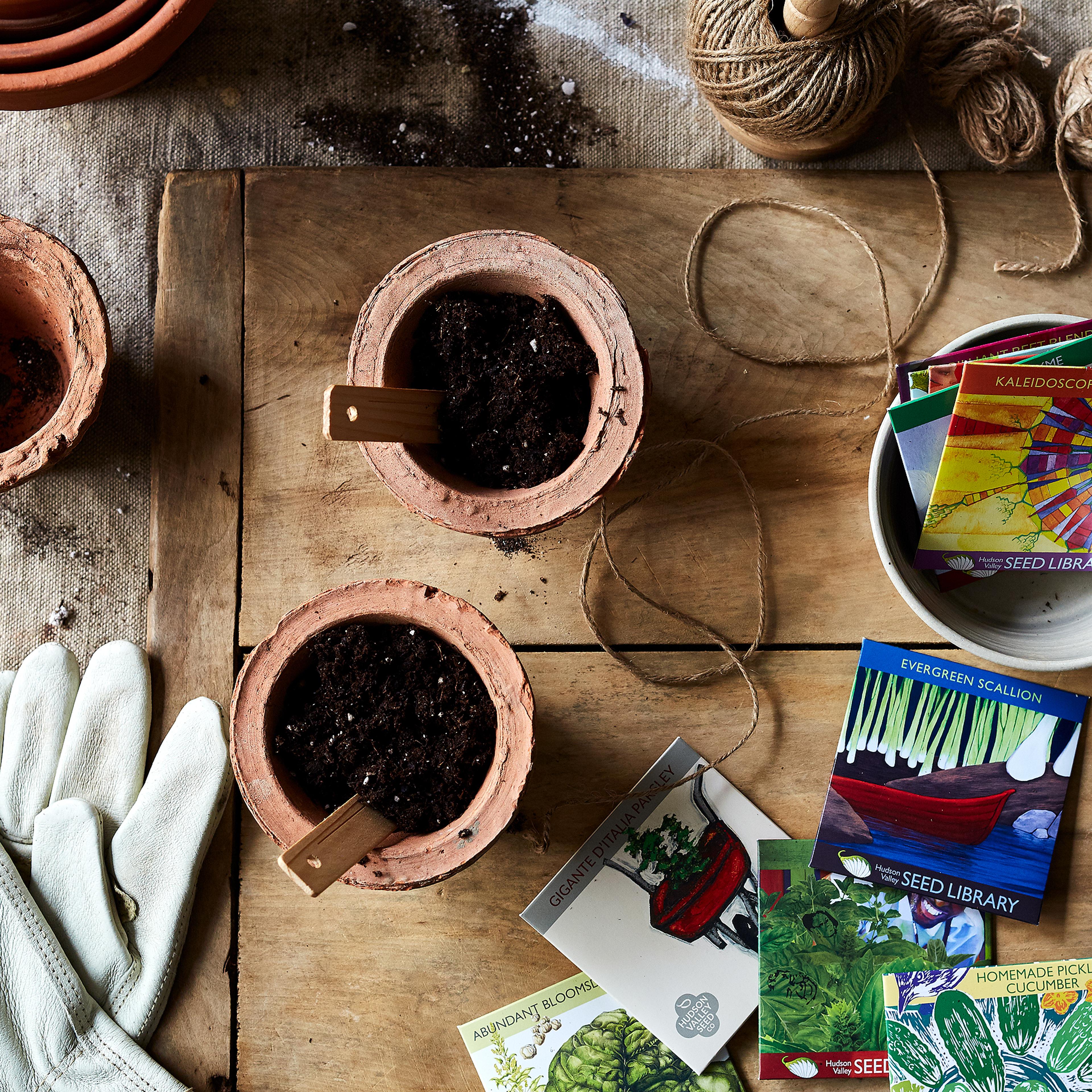 Small terracotta and recycled pots filled with fresh soil sitting next to various seed packets on a wooden table.
