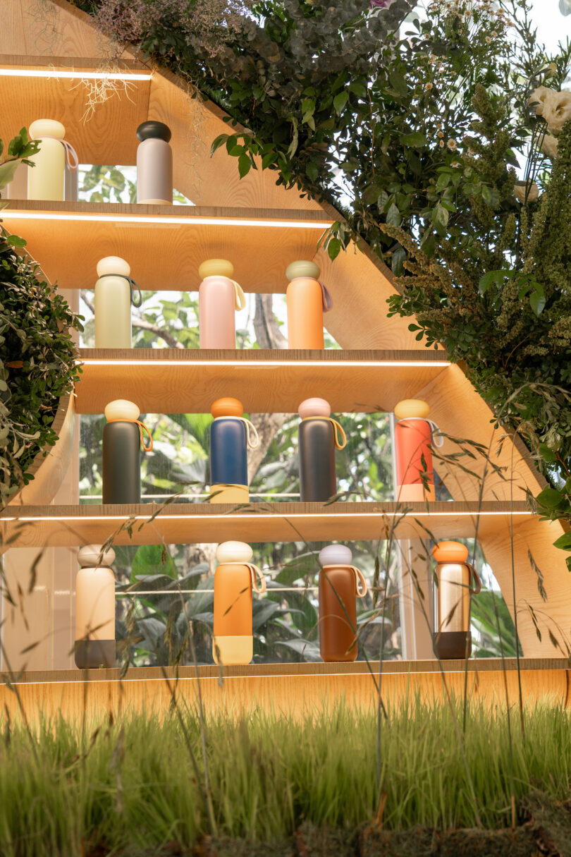 A modern wooden shelving unit displaying a wide variety of colorful water bottles surrounded by indoor plants.