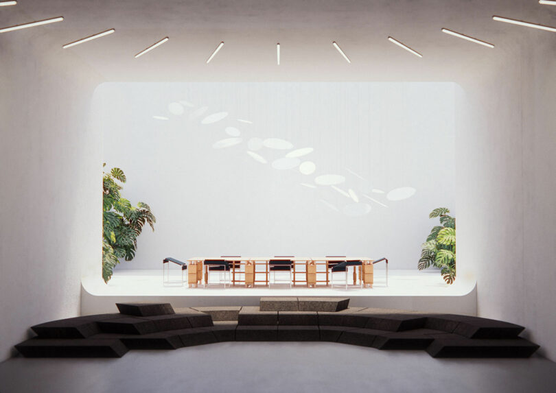 Modern presentation space with tiered black seating, wooden tables, and large plants against a white wall.