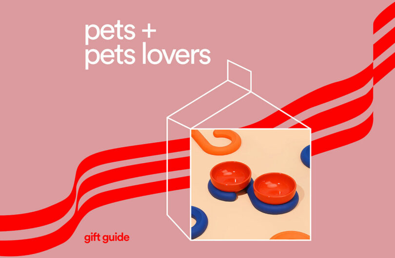 Pet bowls and gift box on a pink and red striped background.