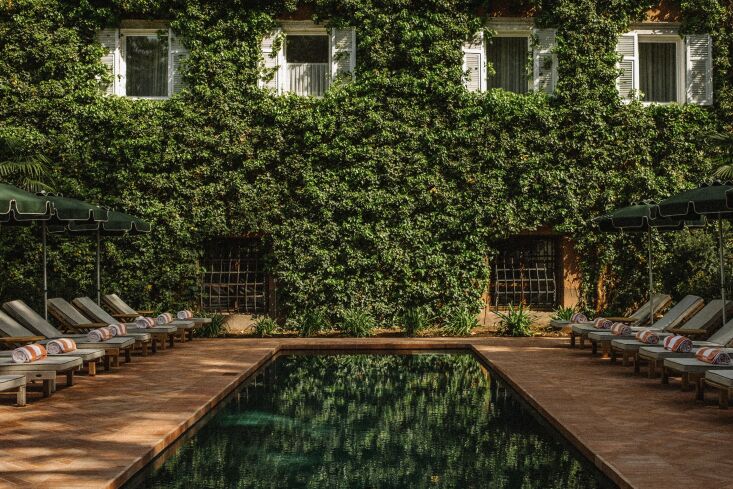 Outdoor swimming pool and ivy-covered hotel facade.