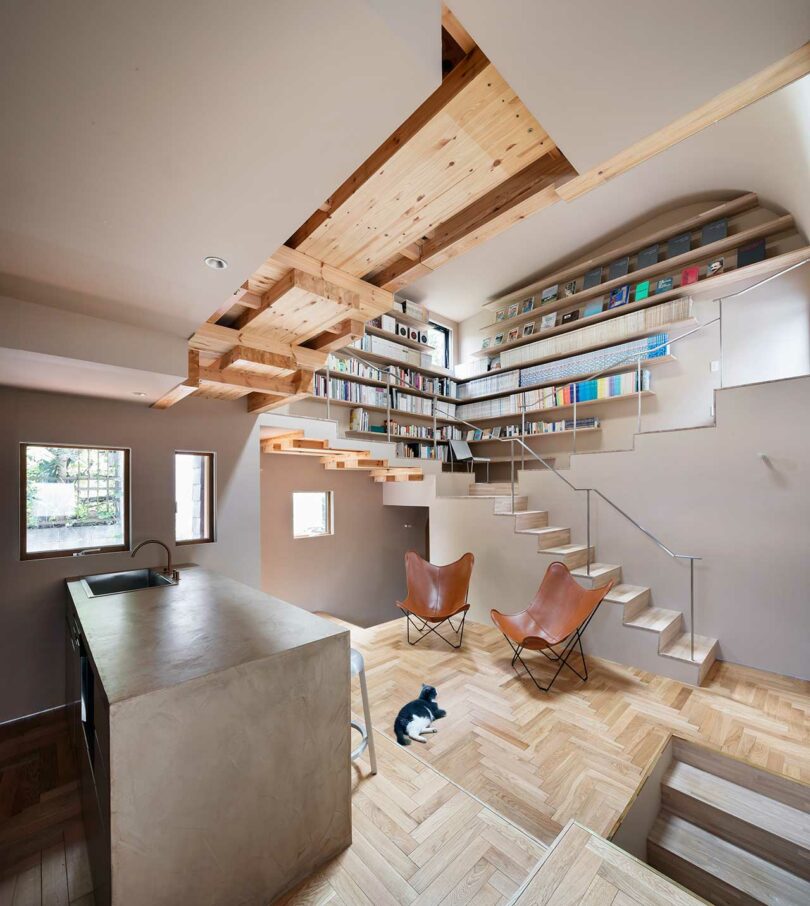 View from a modern kitchen looking into a living space where stairs rise along a wall of shelves.
