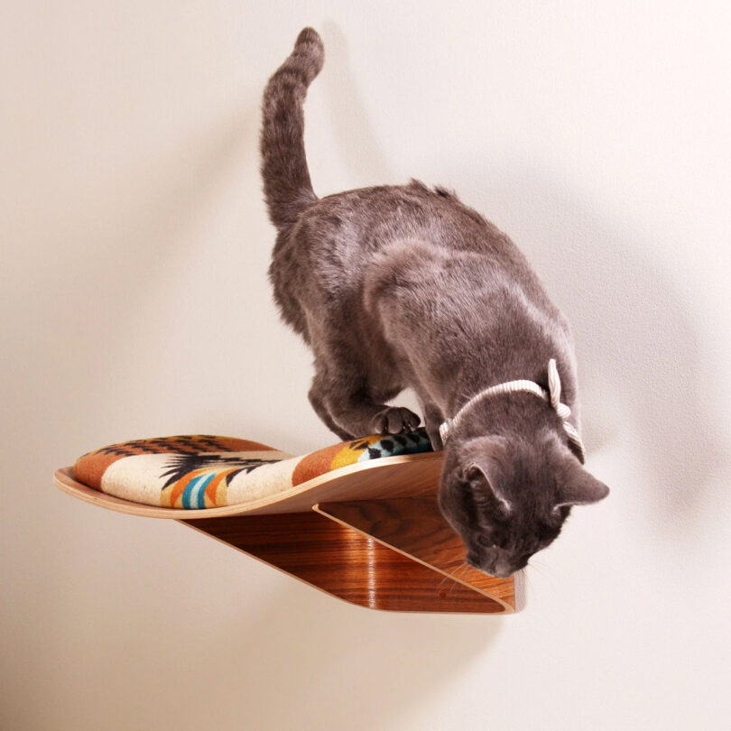 A dark grey cat prepares to jump from a wooden wall perch upholstered with grey wool.