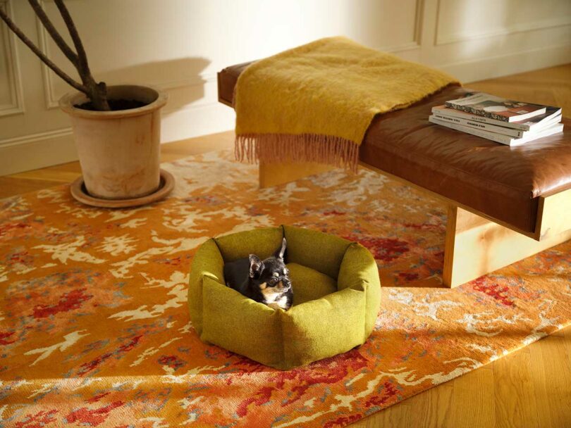A small dog sitting contentedly in the center of a circular Luoto dog bed.