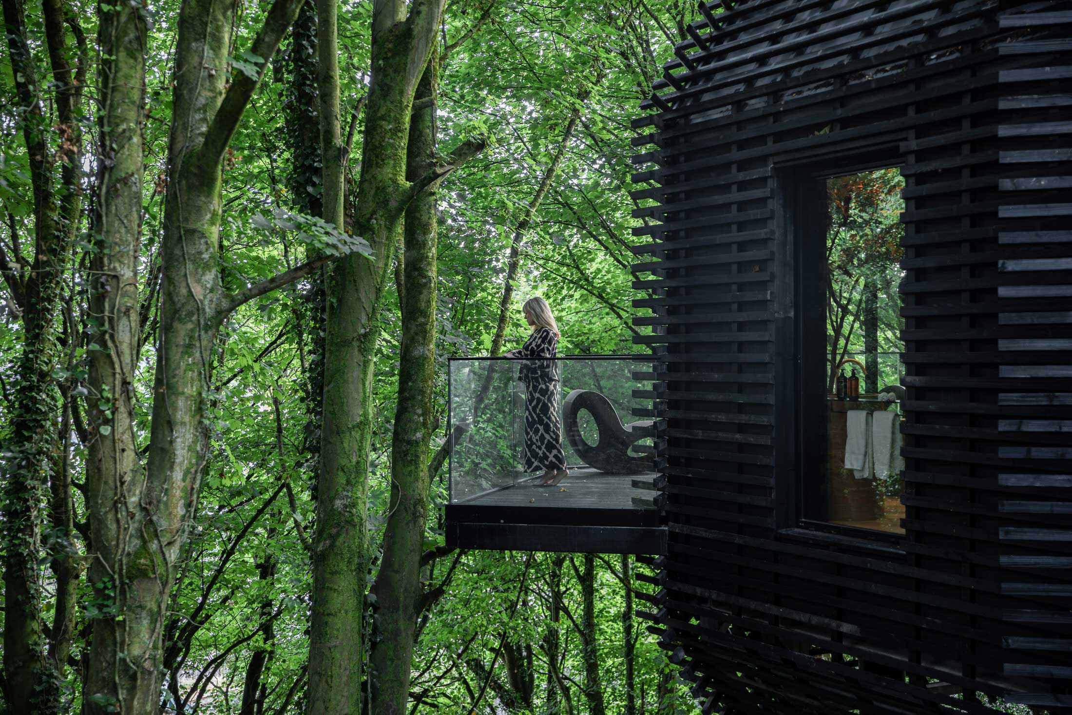 A suite exterior showing the proximity to old-growth trees and the eco-conscious construction.
