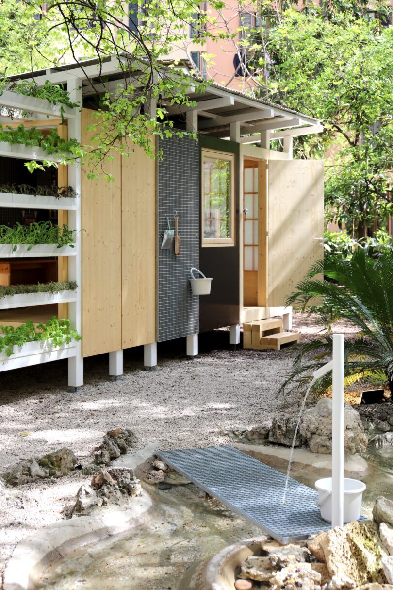 A modern wooden shed with an outdoor water feature and potted plants in a garden.