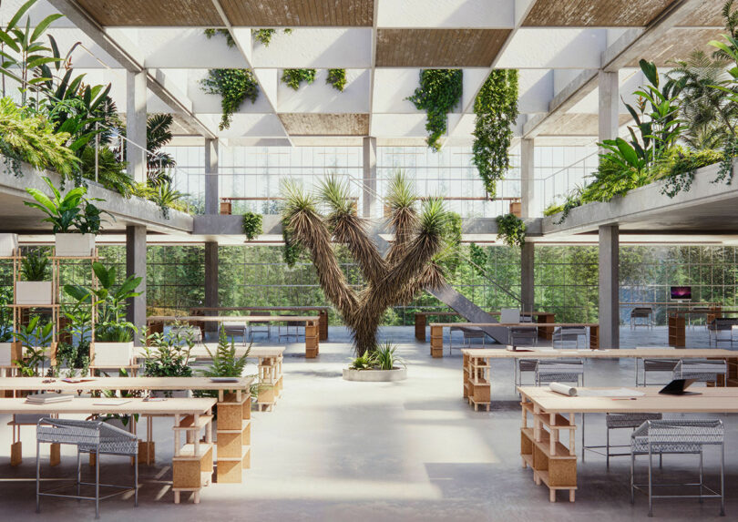 Modern industrial open-plan office with high ceilings, glass walls, and central greenery.