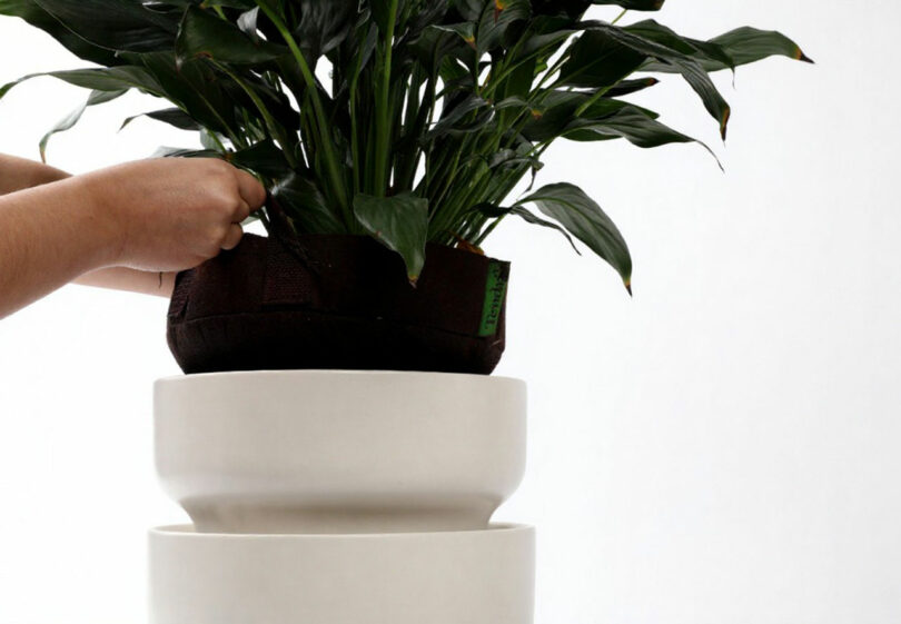 A person assembling a white Tendril self-watering planter.