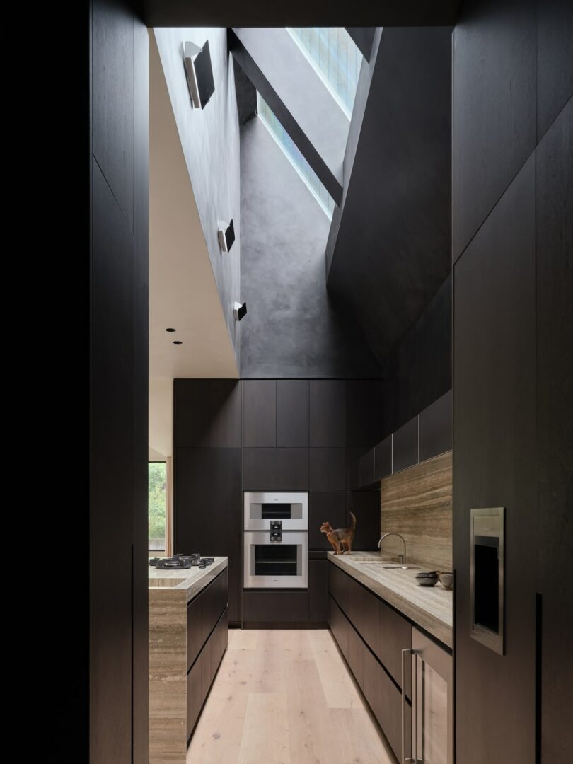 A minimalist kitchen area under a sloped ceiling with a skylight and dark wood cabinets.