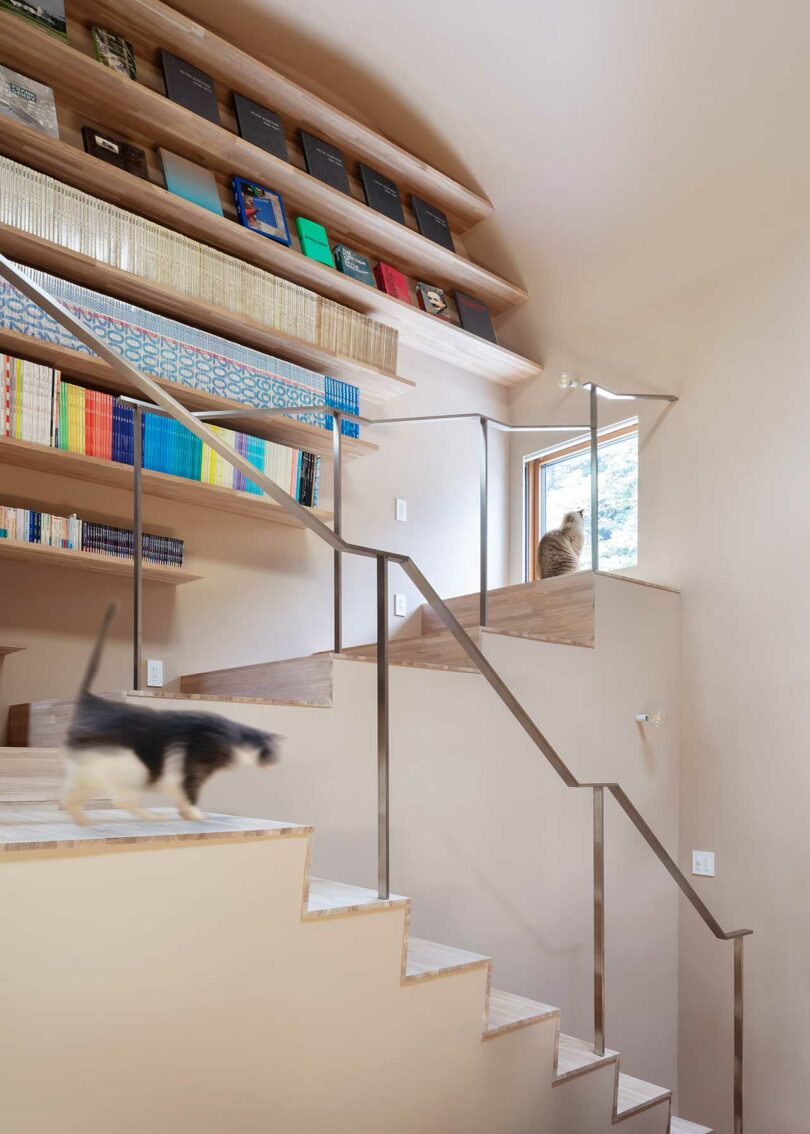 An upward angled view of a modern interior featuring wooden steps that transition into a wall of bookshelves.