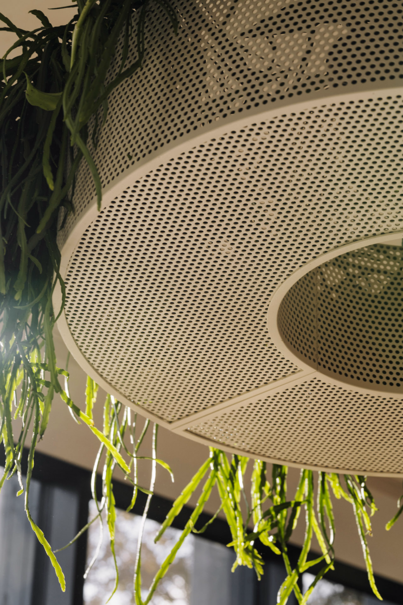 Circular perforated metal fixture with green plants hanging from the ceiling.
