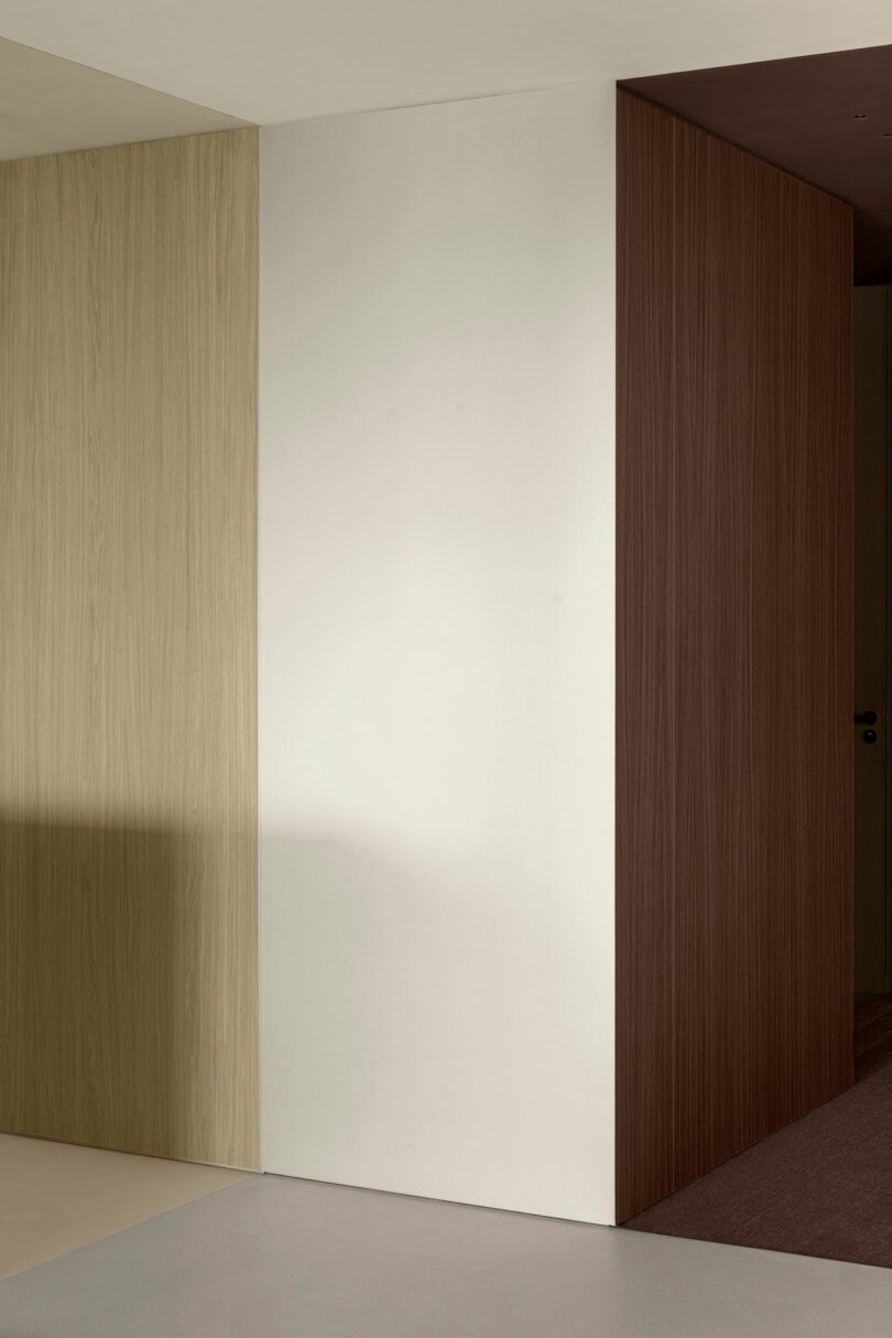 Minimalist interior featuring a tri-color wall division of light wood, white, and dark wood.