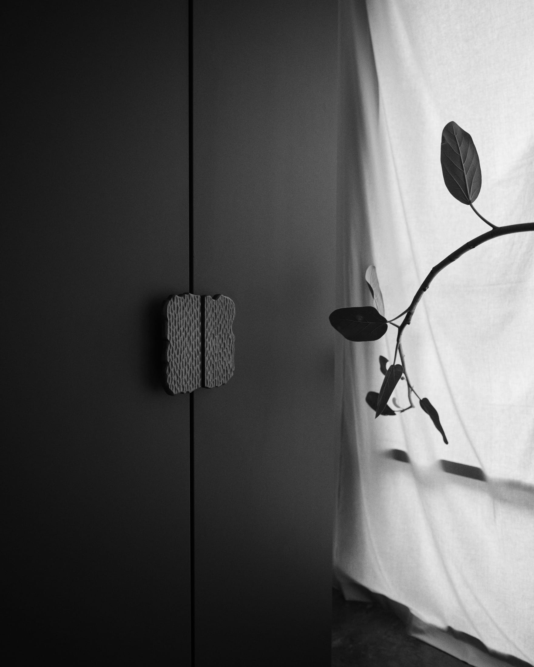 Detail shot of sustainable technical wood and circular materials used in the office interior.