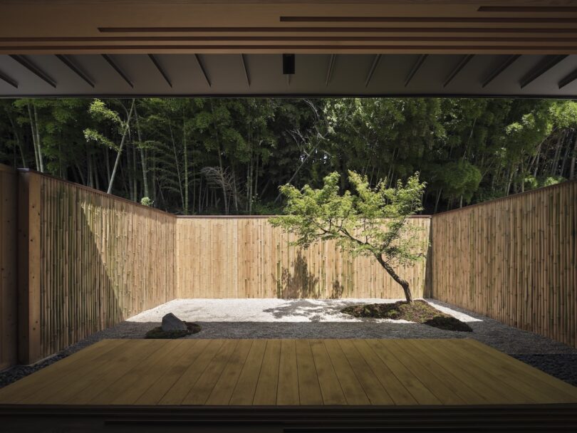 Minimalist Japanese garden with bamboo fencing, gravel, and moss.