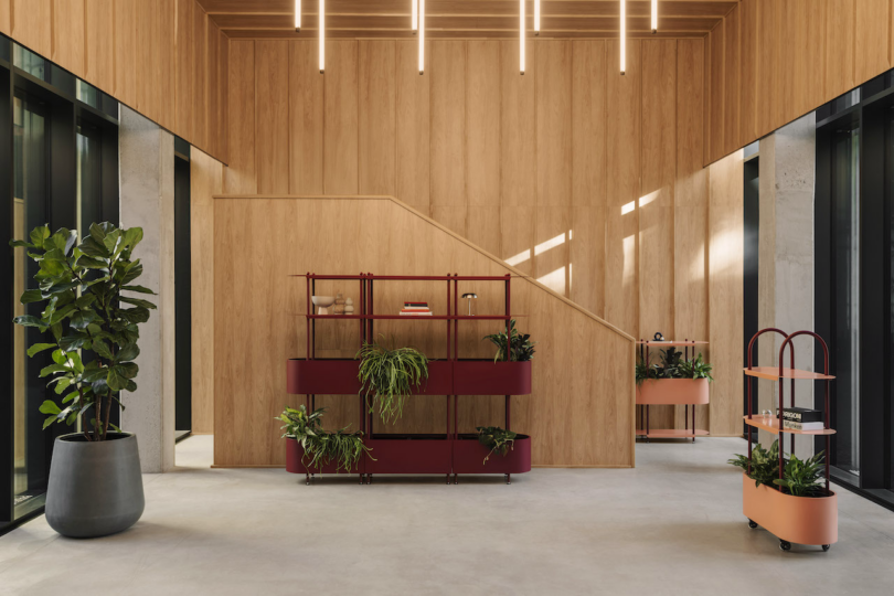 A modern lobby with burgundy shelving, a peach cart, and various plants against a wooden wall.