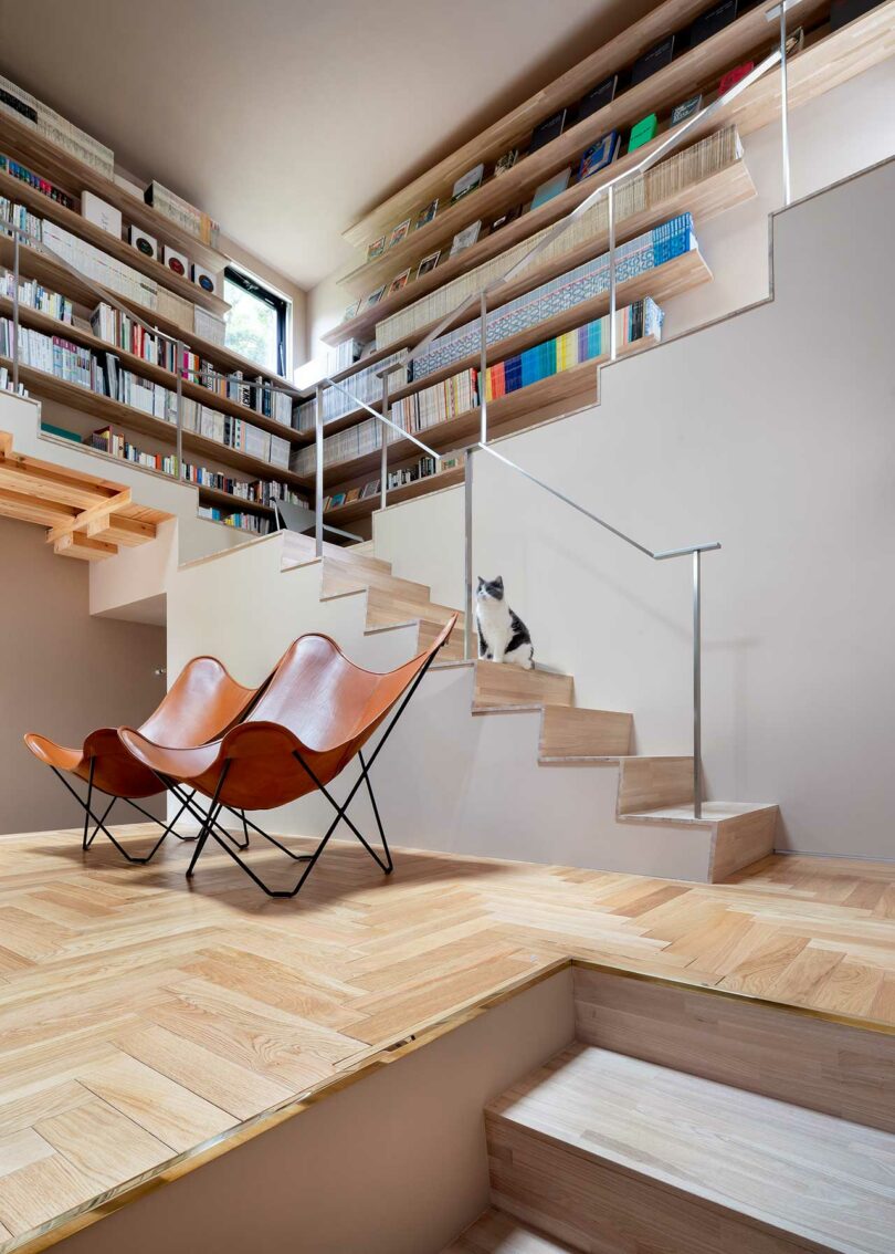 A wide view of an open modern living room with stairs integrated into the wall shelving system.