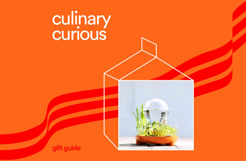 Orange graphic with 'culinary curious' text and an artistic glass orb arrangement.