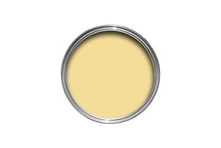 A wall painted in a soft buttery yellow hue with classic architectural molding.
