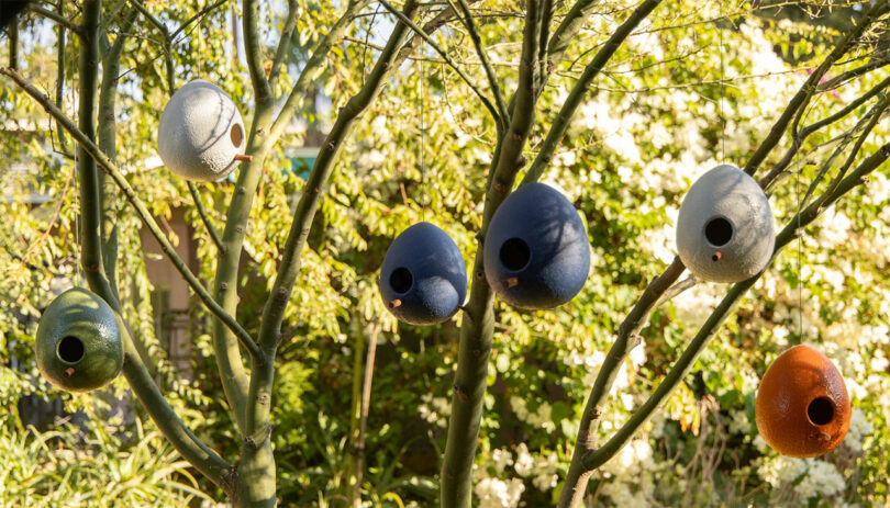 Egg-shaped ceramic birdhouses in various colors hanging from tree branches.