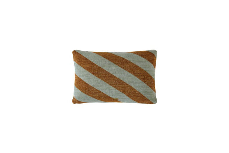 Caramel and mint colored Takara cushions resting on a neutral surface.