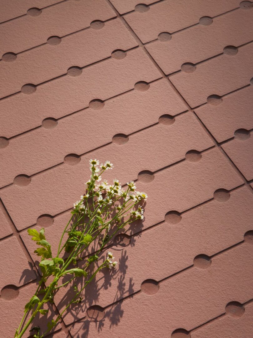 White wildflowers resting on a pinkish textured wall with a geometric grid of circular indents.