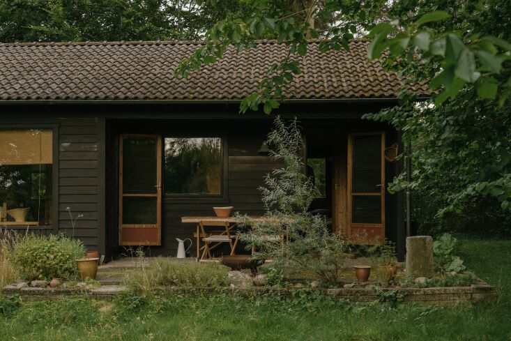 Wide shot of the dark-stained pine exterior of the house receding into the surrounding forest.