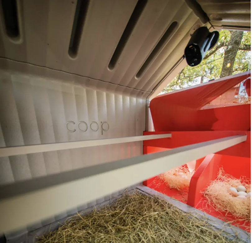Interior 1080p camera feed showing the nesting boxes and roosting area inside the coop.